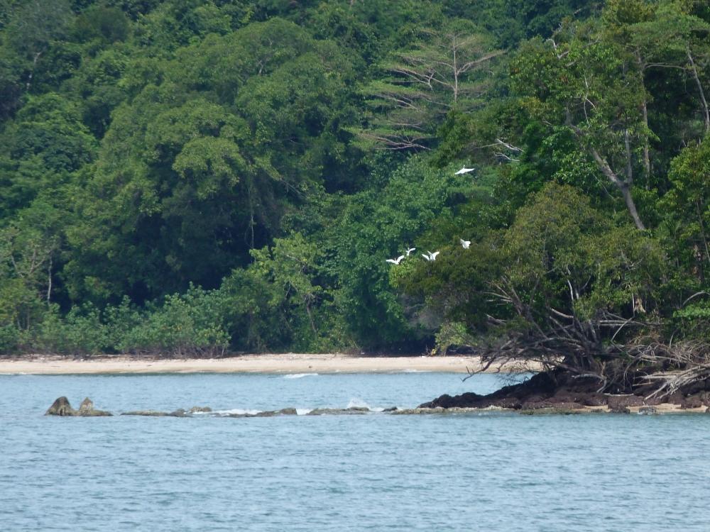 Koh Thmei Resort Phumi Kang Keng Exteriör bild